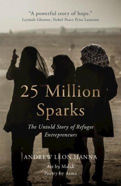 Cover 25 Million Sparks (eBook, PDF)