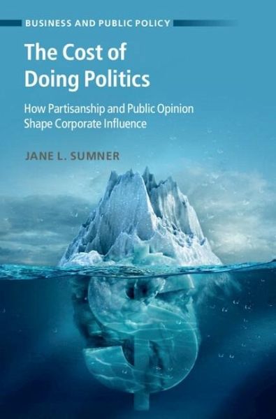Cost of Doing Politics (eBook, PDF)