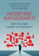 Model Risk Management (eBook, PDF) - Bild 1
