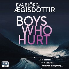 Boys Who Hurt (MP3-Download) - Ægisdóttir, Eva Björg