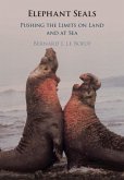 Elephant Seals (eBook, PDF) Elephant Seals (eBook, PDF)