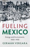 Fueling Mexico (eBook, PDF)