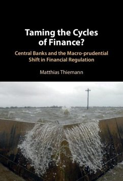 Taming the Cycles of Finance? (eBook, ePUB) - Thiemann, Matthias