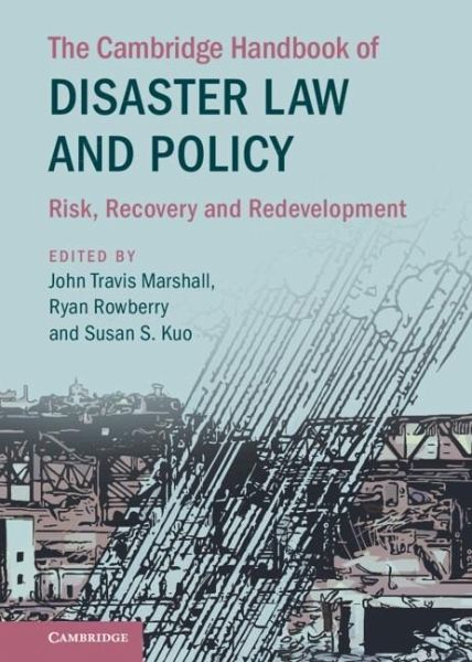 Cambridge Handbook of Disaster Law and Policy (eBook, PDF)