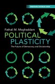 Political Plasticity (eBook, ePUB)