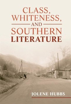 Cover Class, Whiteness, and Southern Literature (eBook, PDF)