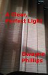 A Clear, Perfect Light (eBook, ePUB) - Bild 1
