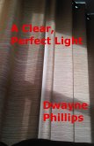 A Clear, Perfect Light (eBook, ePUB)