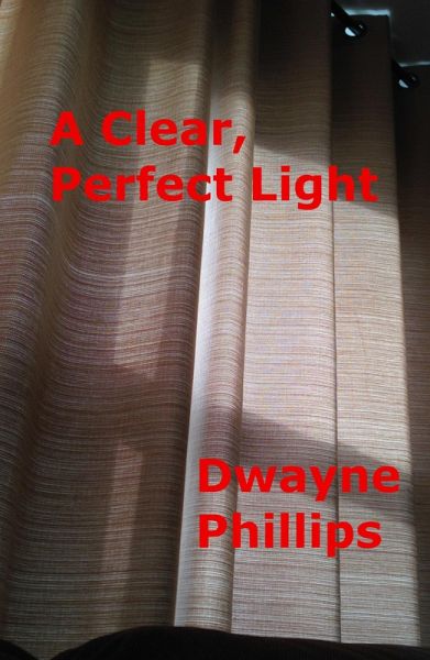 A Clear, Perfect Light (eBook, ePUB) A Clear, Perfect Light (eBook, ePUB)