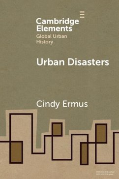 Urban Disasters (eBook, PDF) - Ermus, Cindy