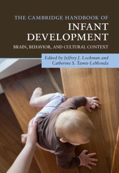 Cambridge Handbook of Infant Development (eBook, PDF)