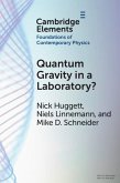Quantum Gravity in a Laboratory? (eBook, PDF) Quantum Gravity in a Laboratory? (eBook, PDF)