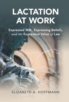 Cover Lactation at Work (eBook, PDF)