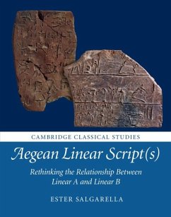 Aegean Linear Script(s) (eBook, PDF) - Salgarella, Ester