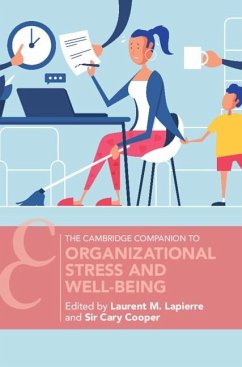 Organizational Stress and Well-Being (eBook, PDF)