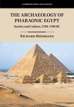 Archaeology of Pharaonic Egypt (eBook, PDF) - Bussmann, Richard (Universitat zu Koln)