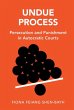 Undue Process (eBook, PDF) - Bild 1