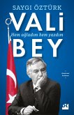 Vali Bey (eBook, ePUB)