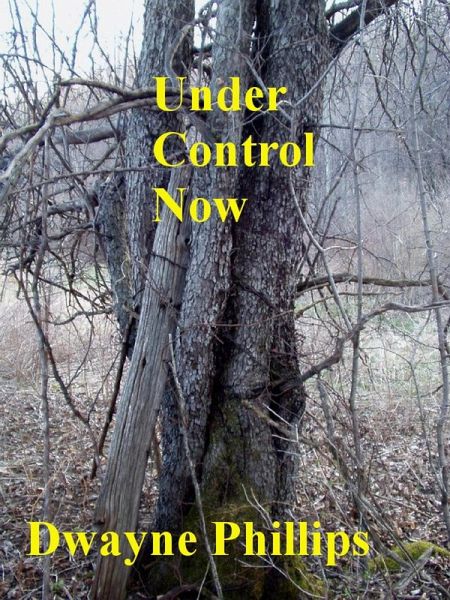 Under Control Now (eBook, ePUB)