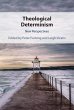 Theological Determinism (eBook, ePUB) - Bild 1