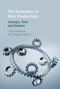Cover The Economics of Firm Productivity (eBook, PDF)