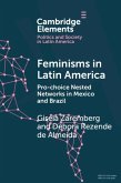 Feminisms in Latin America (eBook, ePUB)