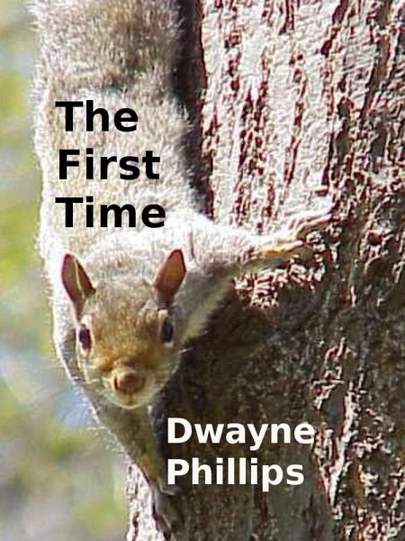 The First Time (eBook, ePUB) The First Time (eBook, ePUB)