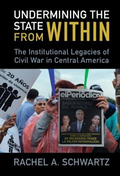 Undermining the State from Within (eBook, PDF) - Schwartz, Rachel A.