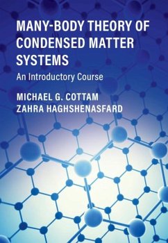 Cover Many-Body Theory of Condensed Matter Systems (eBook, PDF)
