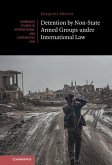 Detention by Non-State Armed Groups under International Law (eBook, PDF)