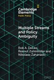 Multiple Streams and Policy Ambiguity (eBook, ePUB)