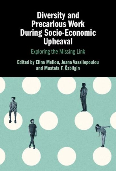 Diversity and Precarious Work During Socio-Economic Upheaval (eBook, ePUB)