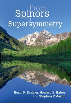 From Spinors to Supersymmetry (eBook, PDF) - Dreiner, Herbi K.; Haber, Howard E.; Martin, Stephen P.