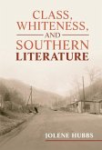 Class, Whiteness, and Southern Literature (eBook, ePUB)
