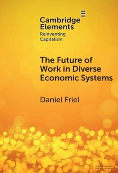 Future of Work in Diverse Economic Systems (eBook, PDF) - Friel, Daniel