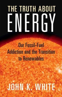Cover Truth About Energy (eBook, ePUB)