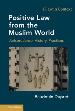 Positive Law from the Muslim World (eBook, PDF) - Dupret, Baudouin