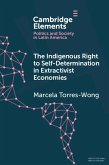 Indigenous Right to Self-Determination in Extractivist Economies (eBook, PDF)