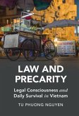 Law and Precarity (eBook, PDF)