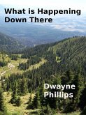 What is Happening Down There (eBook, ePUB) What is Happening Down There (eBook, ePUB)