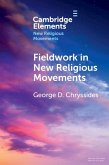 Fieldwork in New Religious Movements (eBook, PDF)