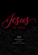 Jesus in Red (eBook, ePUB) - Bild 1