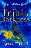 Trial in Darkness (eBook, ePUB)