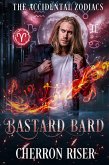 Bastard Bard (eBook, ePUB)