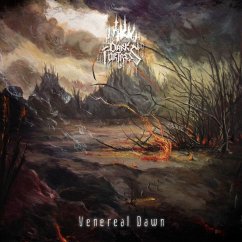 Venereal Dawn (Red Vinyl - 180gr) - Dark Fortress