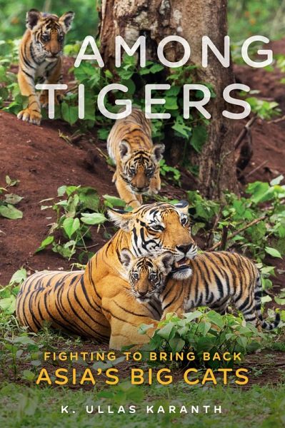 Among Tigers (eBook, ePUB)