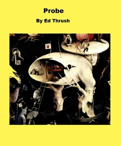 Cover Probe (eBook, ePUB)