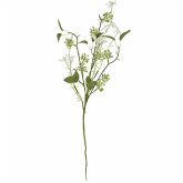 Picker Wildblume, grün, 56cm