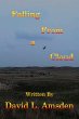 Falling From a Cloud (eBook, ePUB) - Bild 1