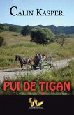 Pui de tigan (eBook, ePUB)